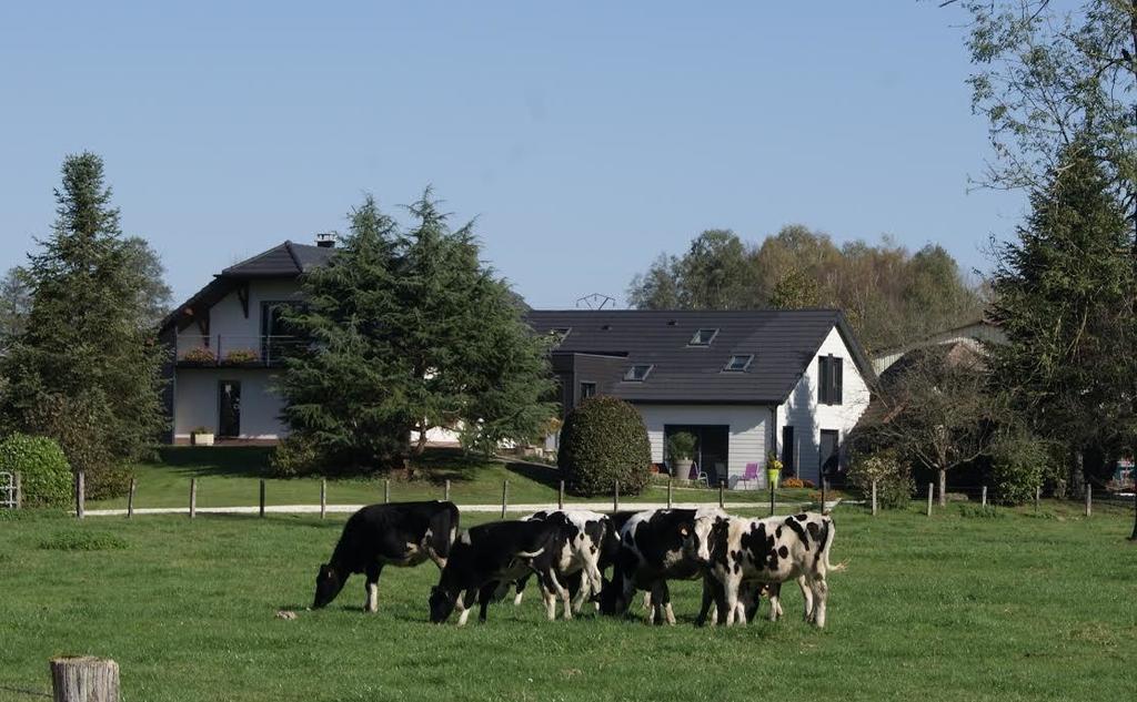 Bed and Breakfast La Noue Aubain Corbenay Zewnętrze zdjęcie